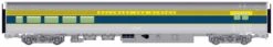 Walthers Mainline HO 910-30063 85' Budd Baggage-Lounge Car, Delaware And Hudson