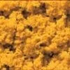 Woodland Scenics T1353 Coarse Turf Shaker, Fall Yellow